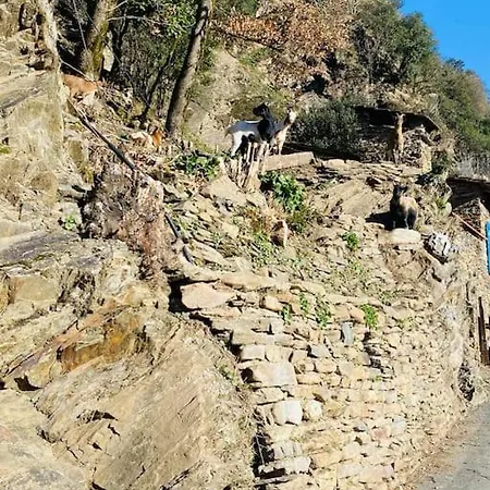 Rustique Au Bord Du Tarn