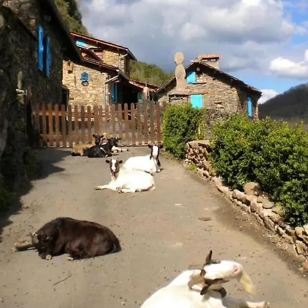 Rustique Au Bord Du Tarn Marsal (Tarn)